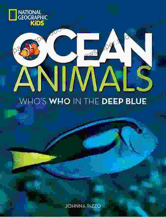 50 Fabulous Facts About Ocean Animals Book Cover 50 Fabulous Facts About OCEAN ANIMALS