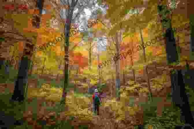 A Hiker Strolls Along A Serene Trail In The Haliburton Highlands, Surrounded By Vibrant Autumn Foliage. Hiking In Ontario S Multi Regional Trails