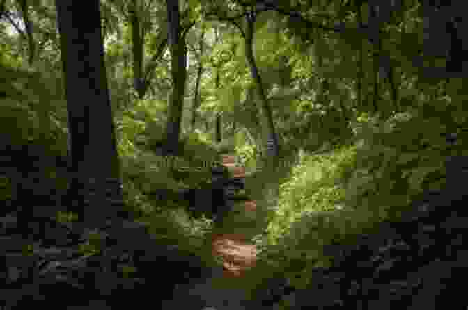 A Hiker Traverses The Scenic Bruce Trail, Surrounded By Lush Greenery And Towering Cliffs. Hiking In Ontario S Multi Regional Trails