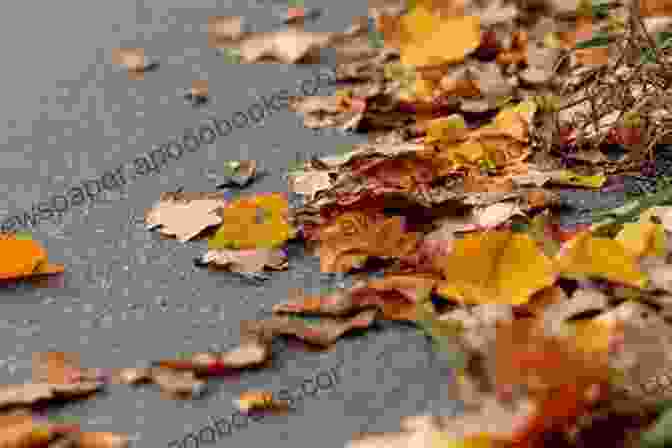 A Tree Shedding Its Autumn Leaves, Their Golden Hues Scattered On The Ground Green Shadows And Other Poems