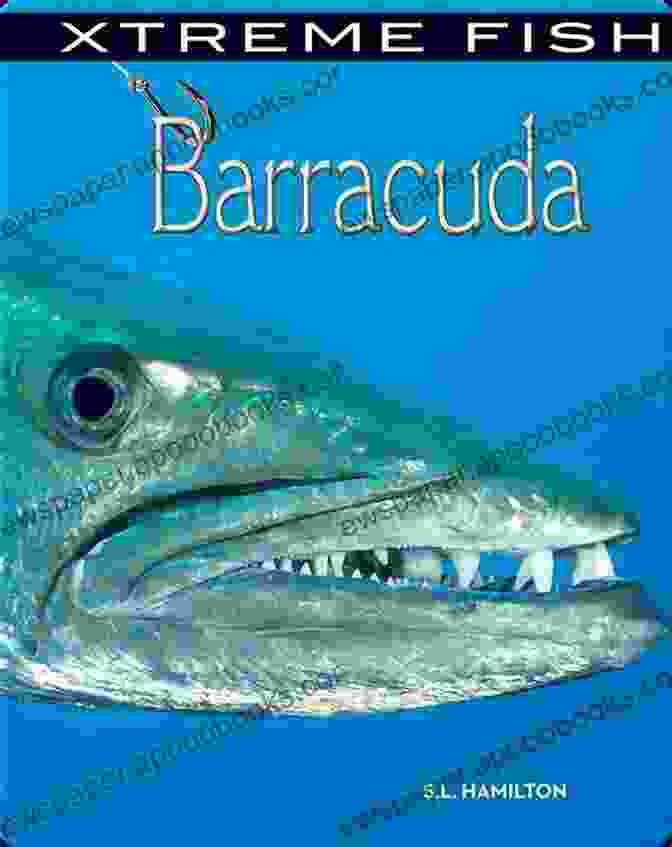 Book Cover Of 'Barracuda: The Fighting Anthonys' By Fred Mustard Stewart. Barracuda (The Fighting Anthonys 3)