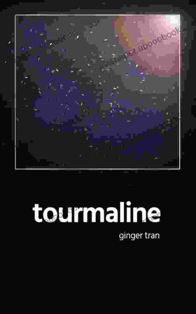 Book Cover Of Tourmaline Ginger Tran Tourmaline Ginger Tran