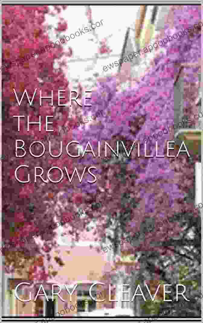 Book Cover Of 'Where The Bougainvillea Grows' By Gary Cleaver Where The Bougainvillea Grows Gary Cleaver