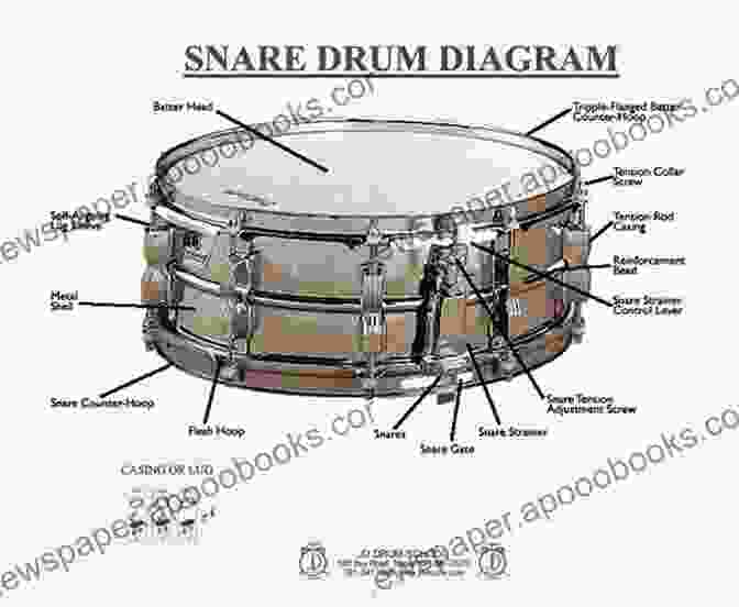 Detailed Diagram Of A Snare Drum's Anatomy Primary Handbook For Snare Drum