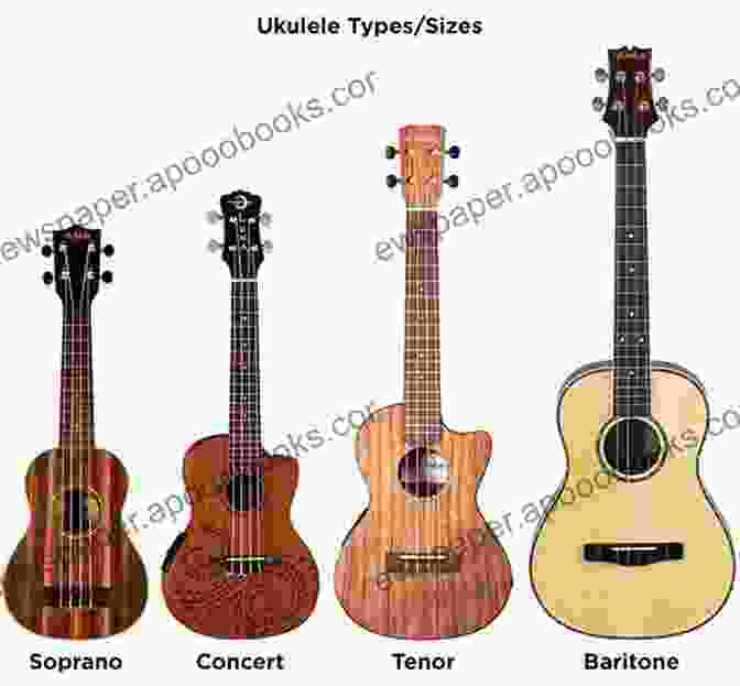 Different Types Of Ukuleles Easy To Start A Ukulele: The Basics Of Beginning Your Ukulele Journey