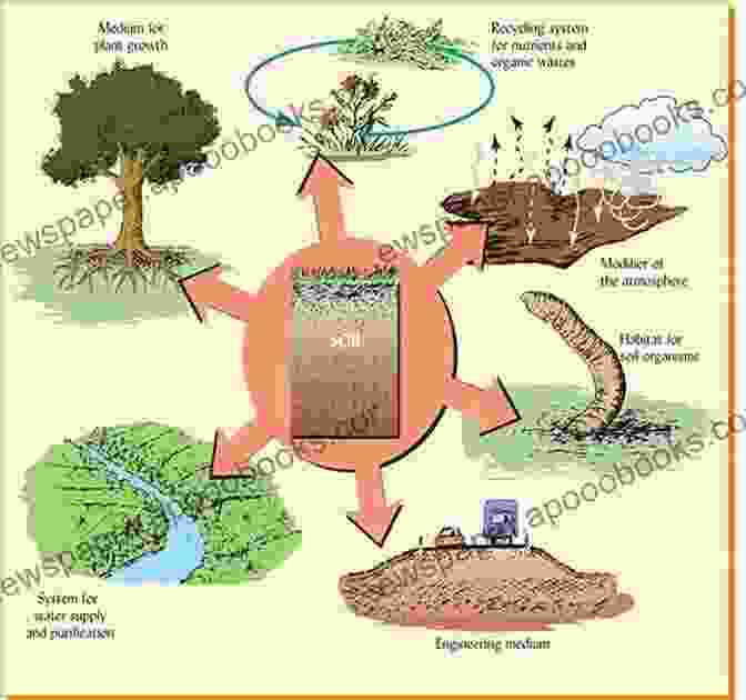 Exploring The Interconnections And Functioning Of Ecosystems A Theory Of Global Biodiversity (MPB 60) (Monographs In Population Biology)