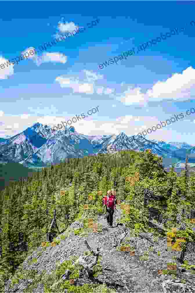 Hikers Traversing A Scenic Trail In Kananaskis Country Gillean Daffern S Kananaskis Country Trail Guide 4th Edition: Volume 4: Sheep Gorge Creek North Fork