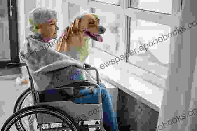 Hospice Dog Outside With Patient Where Dogs Go To LIVE : Inspiring Stories Of Hospice Dogs Living In The Moment