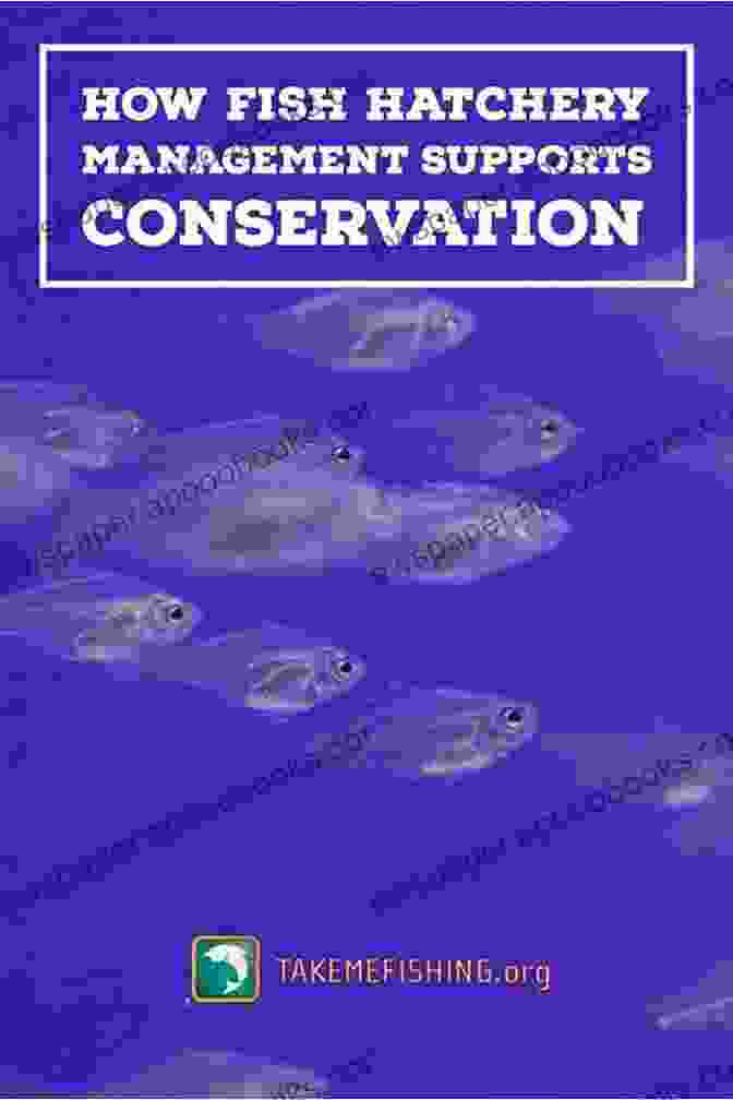 Image Depicting Hatchery Management Techniques Largemouth Bass Aquaculture Roxana Robinson