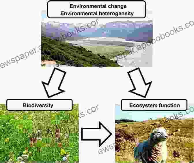 Investigating The Structure And Function Of Ecological Communities A Theory Of Global Biodiversity (MPB 60) (Monographs In Population Biology)