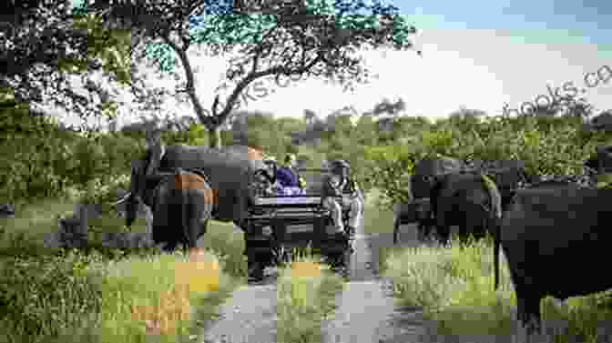 Kruger National Park Safari Europe South Africa And Japan Travel Diary 2002