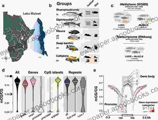 Map Of Lake Malawi Showing Different Cichlid Habitats My Experience Keeping Lake Malawi Cichlids: A Guide For Keeping Lake Malawi Cichlids