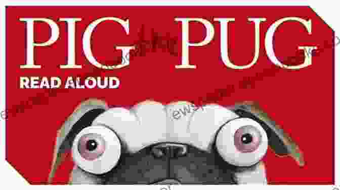 Pugwash The Pug Reading A Book Pugwash Vern Thiessen