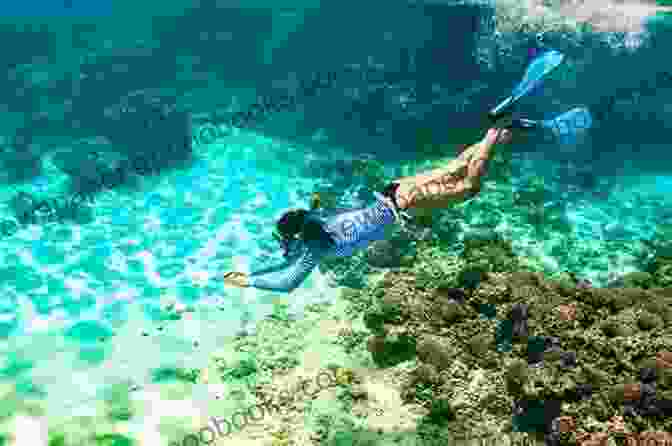 Snorkeling In Crystal Clear Waters Hanoi In 3 Days Travel Guide 2024 With Photos And Maps All You Need To Know Before You Go To Hanoi: 3 Day Travel Plan Best Hotels To Stay Food Guide To Do Halong Bay Trip And Top Sights