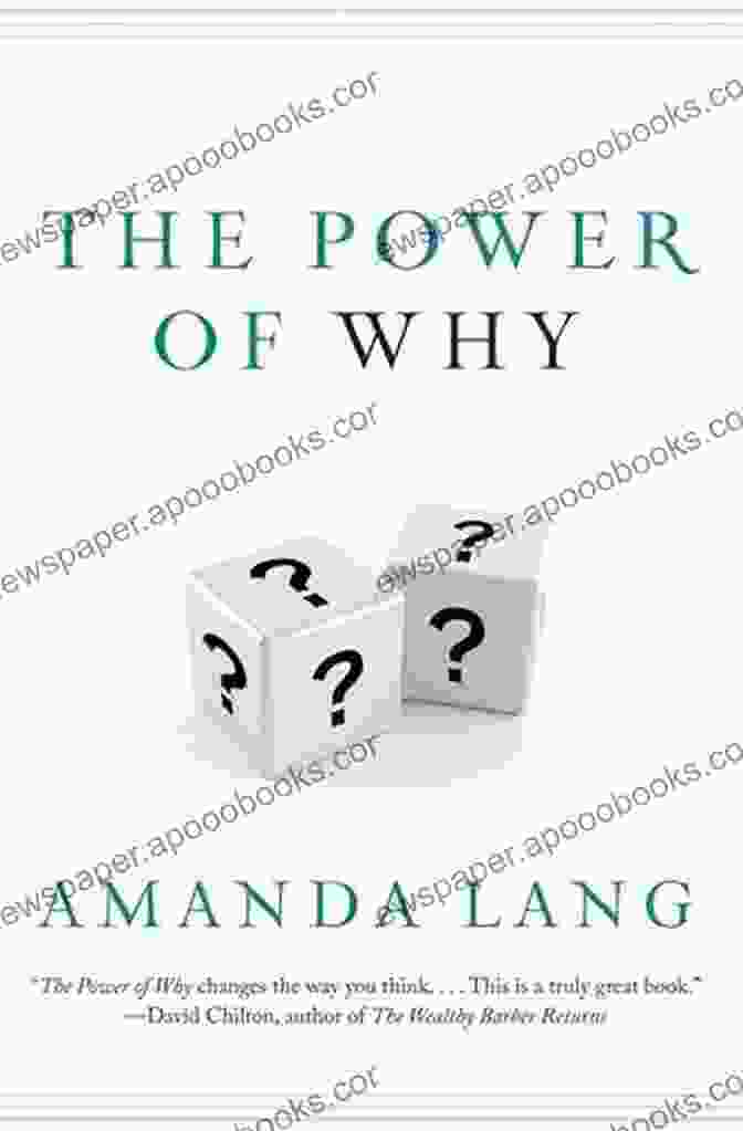 The Power Of Why Book Cover The Power Of Why: Why 29 Musicians Climbed To Superstar: And Why You Should Too (The Power Of Why Musicians)