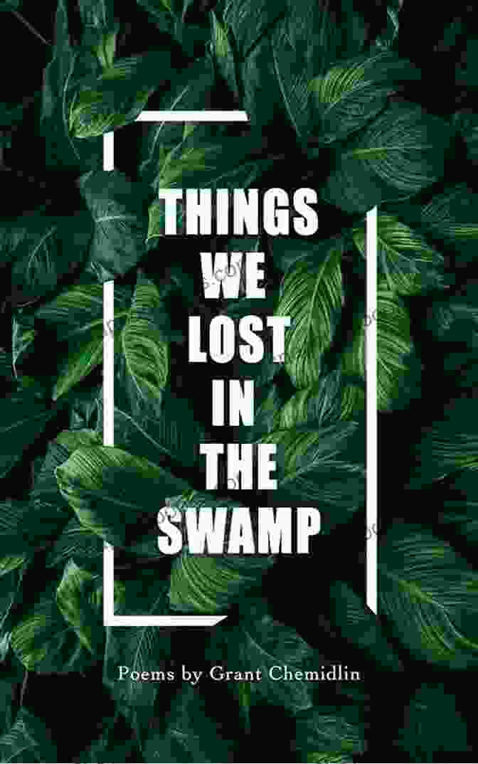 Things We Lost In The Swamp Book Cover, Featuring A Mysterious Swampy Landscape With A Haunting Figure Emerging From The Mist Things We Lost In The Swamp