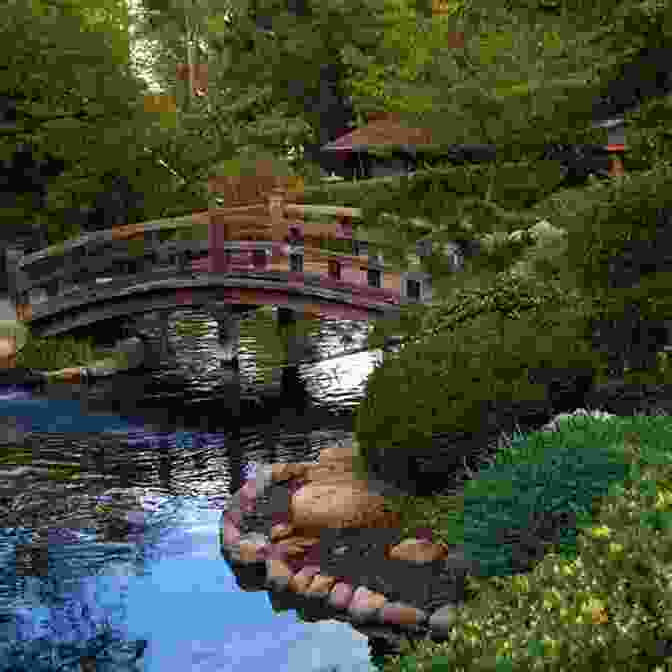 Traditional Japanese Garden With A Pond, Bridge, And Maple Trees Tokyo Travel Guide With 100 Landscape Photos