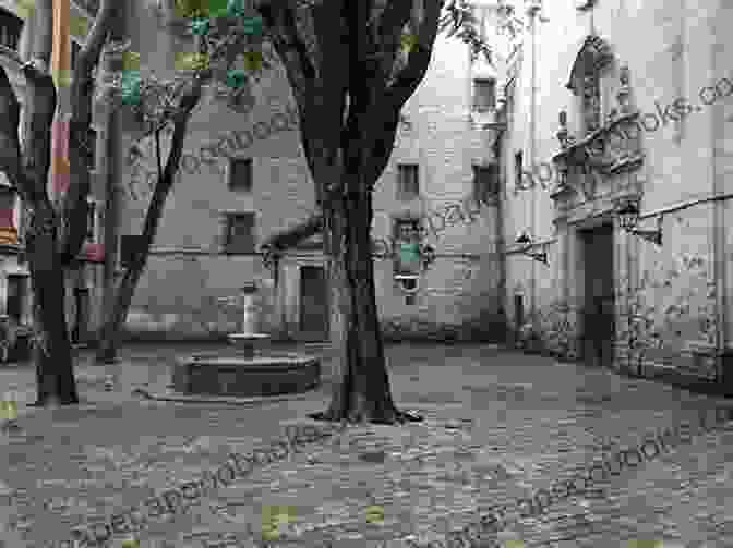 Tranquil Scene Of A Hidden Garden In The Gothic Quarter Beautiful Places In Barcelona Gerry Kerkhof