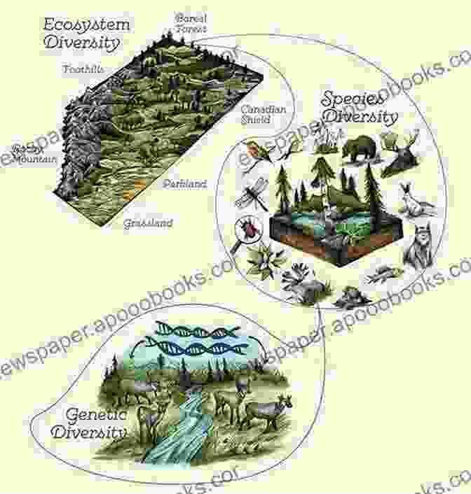 Understanding The Patterns And Determinants Of Species Diversity A Theory Of Global Biodiversity (MPB 60) (Monographs In Population Biology)