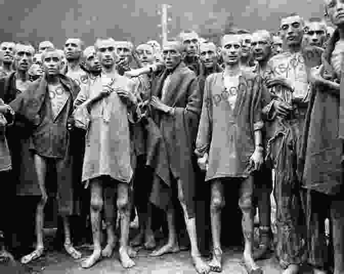 Victims Of The Holocaust The Holocaust (Genocide And Persecution)