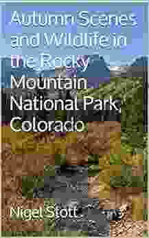 Autumn Scenes And Wildlife In The Rocky Mountain National Park Colorado