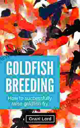 Goldfish Breeding: How To Successfully Raise Goldfish Fry