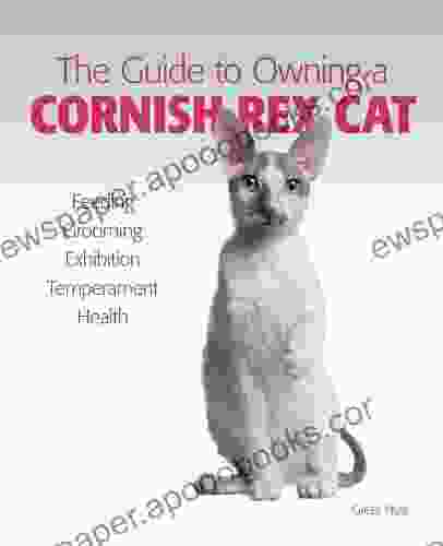 Guide To Owning A Cornish Rex Cat