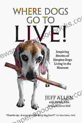 Where Dogs Go To LIVE : Inspiring Stories Of Hospice Dogs Living In The Moment