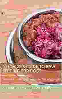 A Novice S Guide To Raw Feeding For Dogs