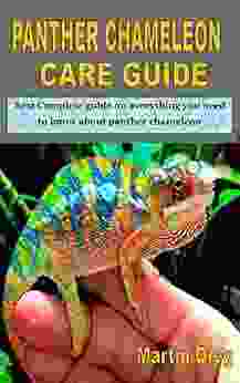 PANTHER CHAMELEON CARE GUIDE: Best Complete Guide On Everything You Need To Know About Panther Chameleon