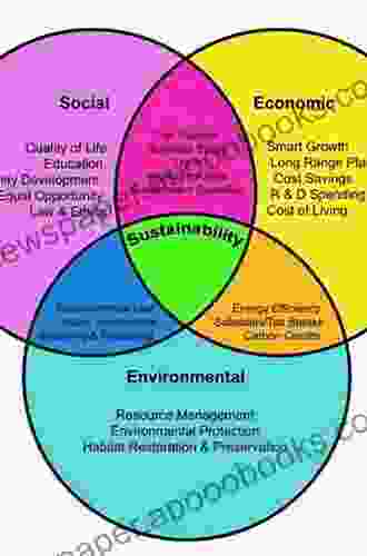 Understanding Globalization: The Social Consequences Of Political Economic And Environmental Change